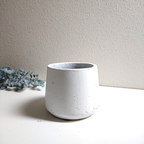 ○数量限定○空気浄化植物○ ”サンスベリア・ハニー 鉢カバー ○数量限定○空気浄化植物○ ”サンスベリア・ハニー 鉢カバー