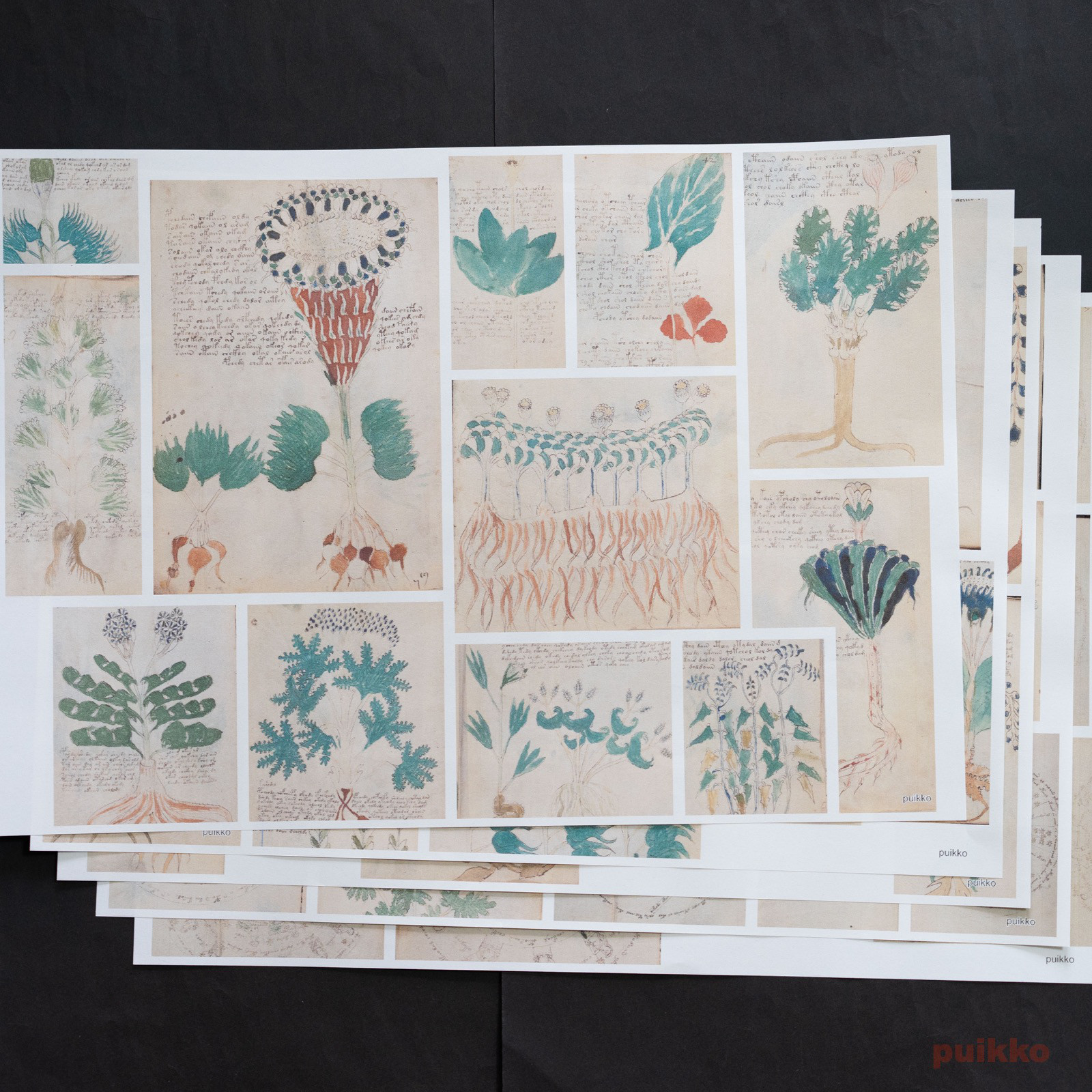 Amazon.com: Voynich Manuscript - Perfect Folio Book
