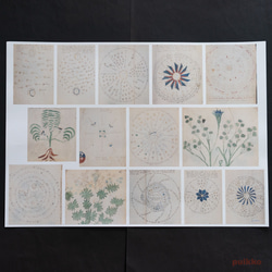 紙製ブックカバー　ヴォイニッチ手稿4（カラー）　A3判（5枚セット） 4枚目の画像