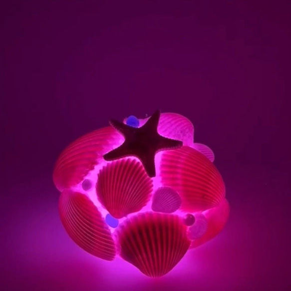 【送料無料】夏休み工作セット　シェルランプ手作りキット　貝殻ランプ 4枚目の画像