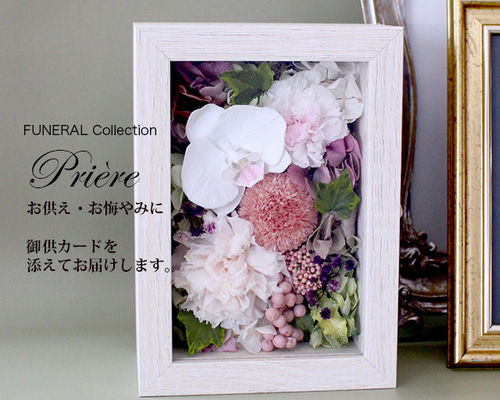 鉢花 ERIRA 455ccdf33c65deeaff2e3f78c53195