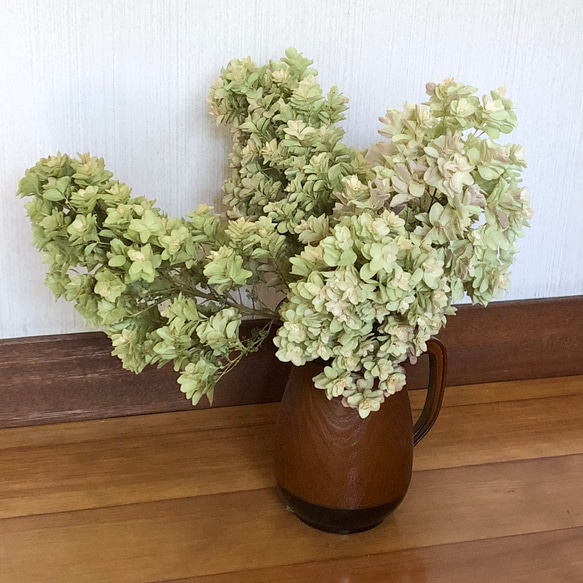 秋色紫陽花 カシワバアジサイ 5本 ドライフラワー 柏葉紫陽花 ドライ