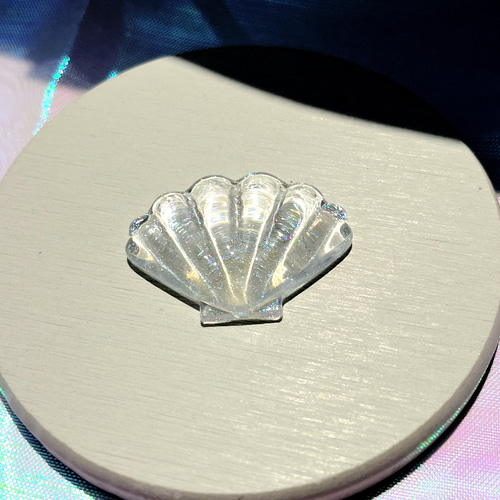 貝の置物 71FjsCManEL._UF350,350_QL50_.jpg