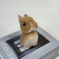 soaraさま専用 羊毛フェルト オーダー テグーマウス 受注制作】 〜羊毛うさぎさんお作りします〜 うさぎ 羊毛
