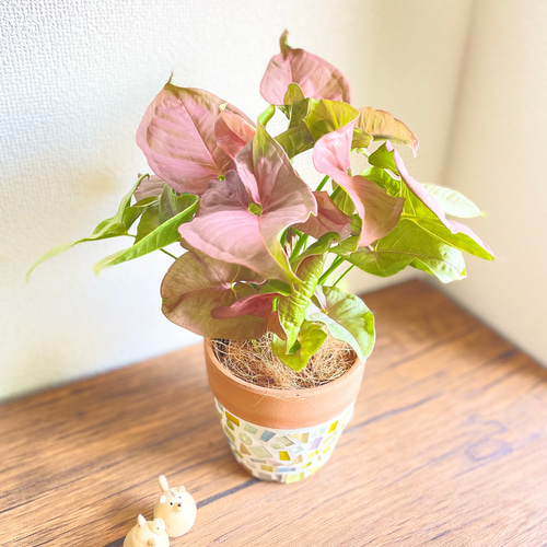 パステル植木鉢♡ハート飾り確認