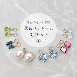 ほんのちょっぴり訳あり】フープイヤリングのチャーム6点セット ピアス