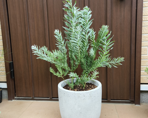 f338af5dfa78d67a4a83db78f5a08c