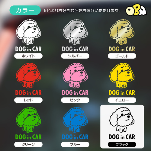 DOG IN CAR／ダップー（ミニチュアダックス × トイプードル