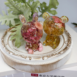 白蛇抜殻入り オルゴナイト ぷっくり雲 龍神様 麻炭 弥盛地