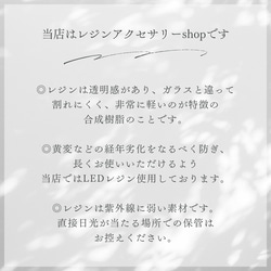 秋冬 アニマル柄 ピアスゼブラ 赤 イヤリング 金属アレルギー対応 9枚目の画像