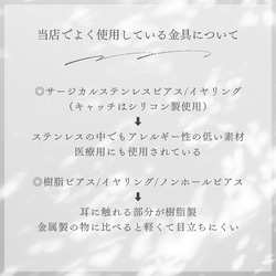 秋冬 アニマル柄 ピアスゼブラ 赤 イヤリング 金属アレルギー対応 10枚目の画像