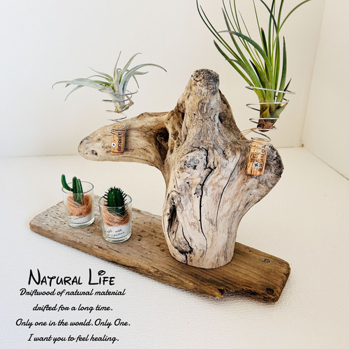 流木⁎✧✧お洒落なエアプランツ ホルダー◇プランター◇ナチュラル