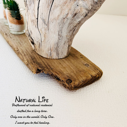 流木⁎✧✧お洒落なエアプランツ ホルダー◇プランター◇ナチュラル