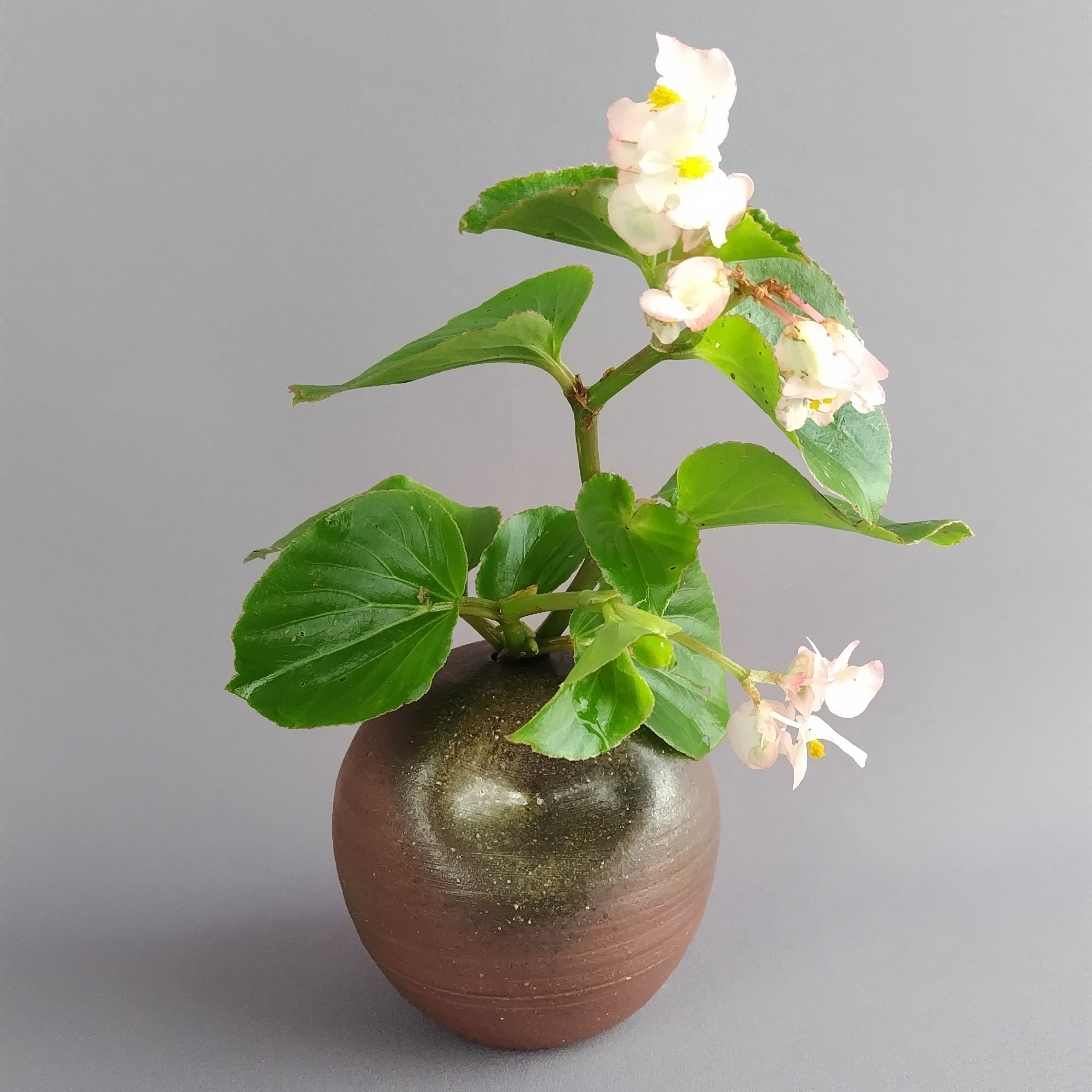 花入れ　焼締め　薪窯　【商品番号：00378】