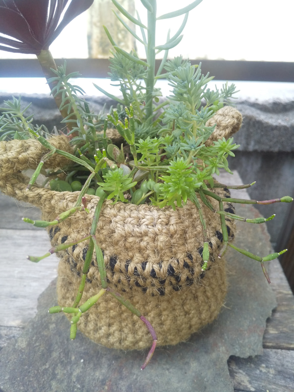 多肉植物 麻カゴの寄せ植え 2枚目の画像