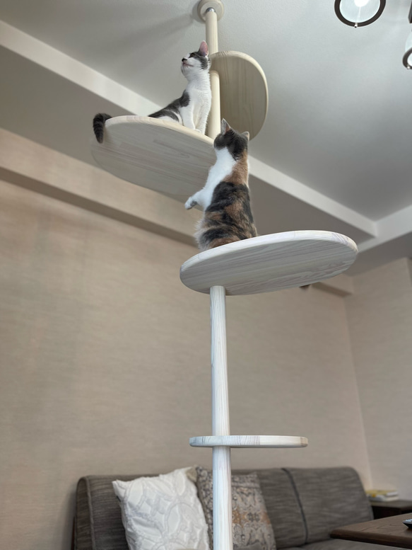 インテリアにとけこむ　おしゃれな　ウッディ　キャットタワー　リニューアル!　２００cm〜３００cm対応可能！ 