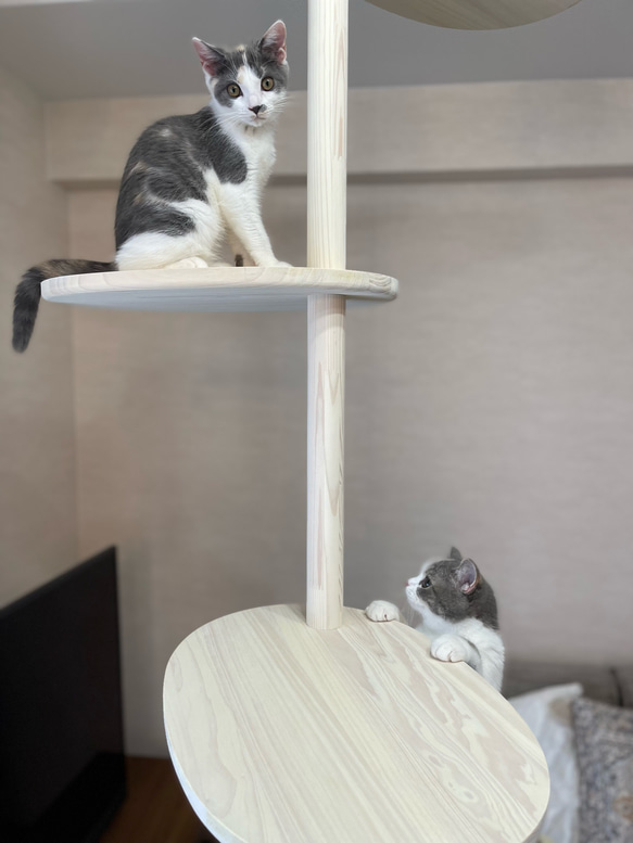 インテリアにとけこむ　おしゃれな　ウッディ　キャットタワー　リニューアル!　２００cm〜３００cm対応可能！ 