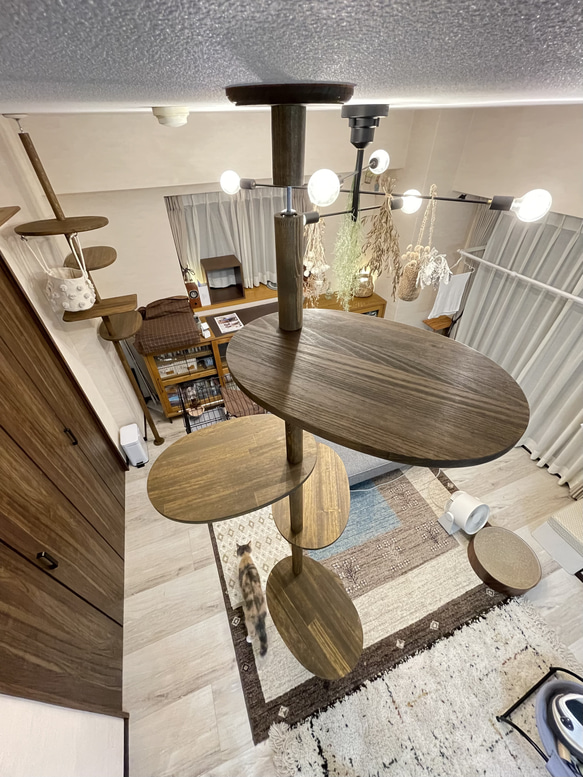 インテリアにとけこむ　おしゃれな　ウッディ　キャットタワー　リニューアル!　２００cm〜３００cm対応可能！ 