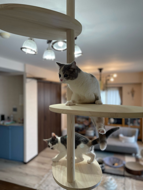 インテリアにとけこむ　おしゃれな　ウッディ　キャットタワー　リニューアル!　２００cm〜３００cm対応可能！ 