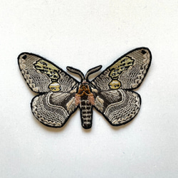 ワッペン】Moth（蛾）シリーズ イボタガ（展翅） ワッペン