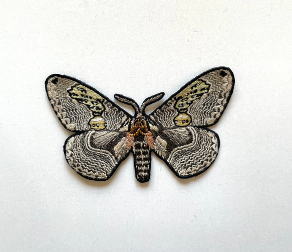 【ワッペン】Moth（蛾）シリーズ　イボタガ（展翅） 1枚目の画像