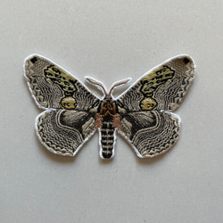 【ワッペン】Moth（蛾）シリーズ　イボタガ（展翅） 2枚目の画像