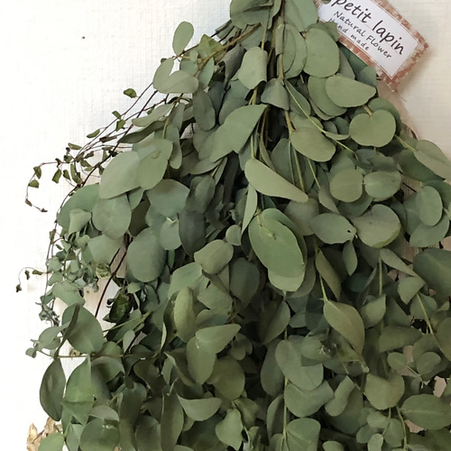 ユーカリスワッグ 特価】ユーカリ スワッグ 40cm ＊ユーカリグ二 ボリューム