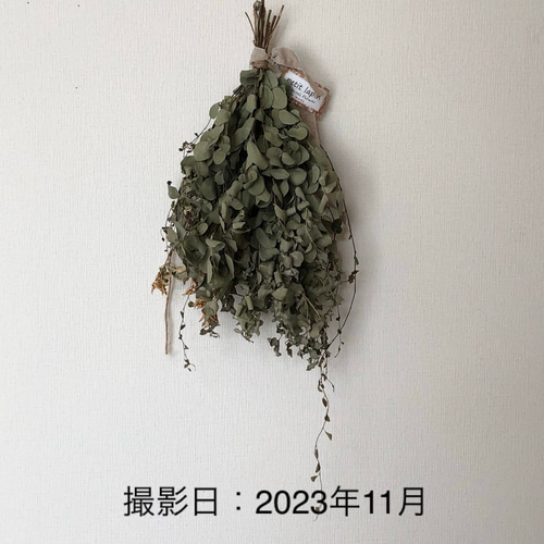 2.ユーカリスワッグ 特価】ユーカリ スワッグ 40cm ＊ユーカリグ二 ボリューム ドライ