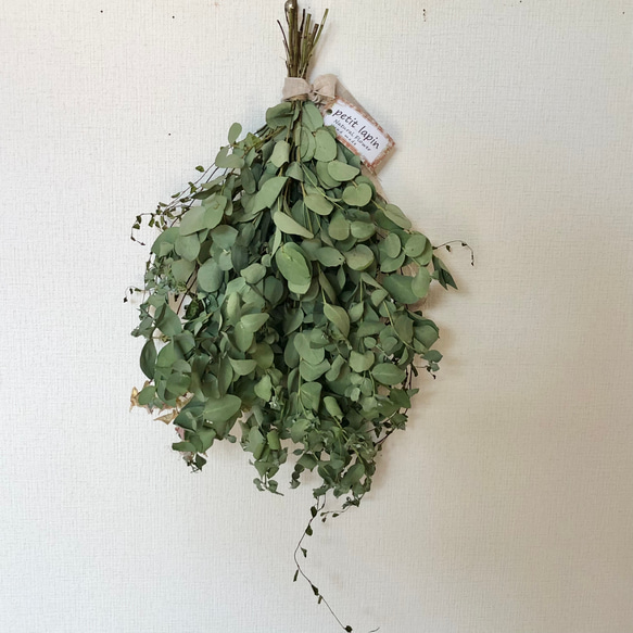 2.ユーカリスワッグ 特価】ユーカリ スワッグ 40cm ＊ユーカリグ二 ボリューム