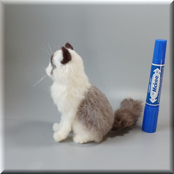 羊毛フェルト　猫　ラグドール　手のひらサイズ　ねこ　ネコ　猫フィギュア 9枚目の画像