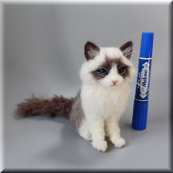 羊毛フェルト　猫　ラグドール　手のひらサイズ　ねこ　ネコ　猫フィギュア 7枚目の画像