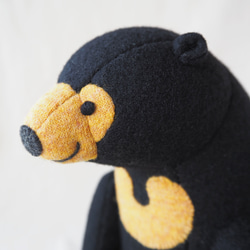 マレーグマさん 3枚目の画像