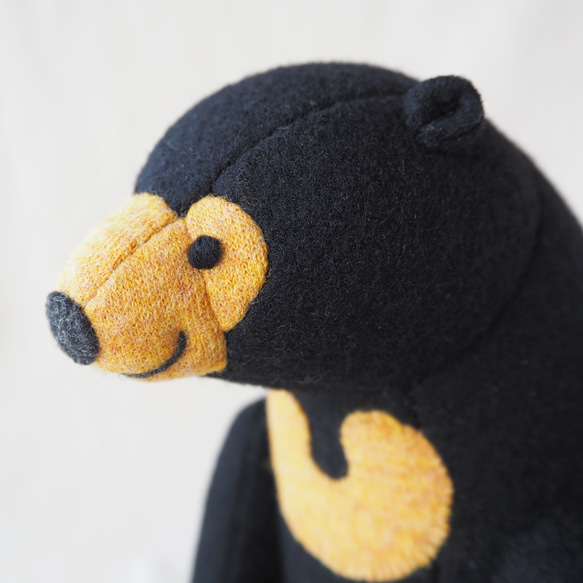 マレーグマさん 3枚目の画像