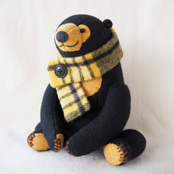 マレーグマさん 8枚目の画像