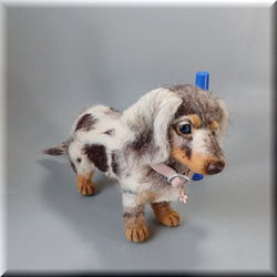 羊毛フェルト　犬　ダックスフンド　ダップル 犬フィギュア　ダックス　ダックスフント 8枚目の画像