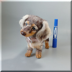 羊毛フェルト　犬　ダックスフンド　ダップル 犬フィギュア　ダックス　ダックスフント 3枚目の画像