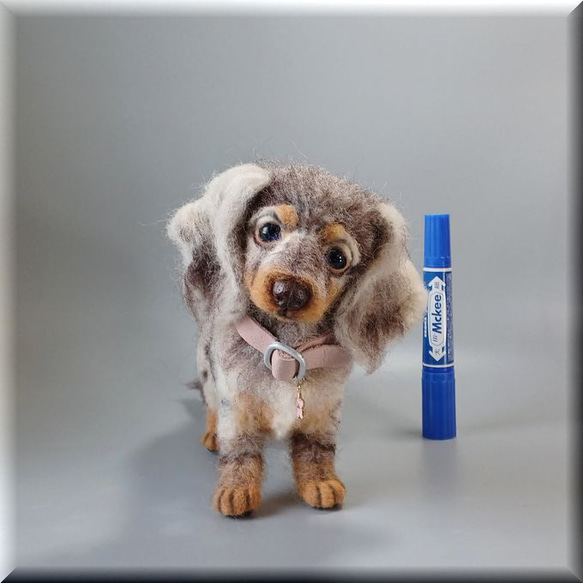 羊毛フェルト　犬　ダックスフンド　ダップル 犬フィギュア　ダックス　ダックスフント 2枚目の画像