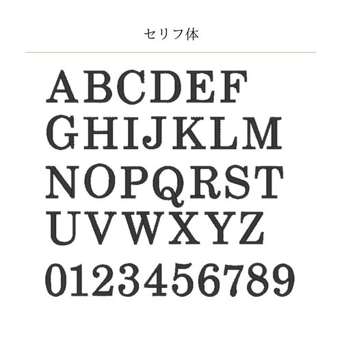 フルーツ刺繍フラットポーチ｜選べるタッセル｜イニシャル・ビタミン