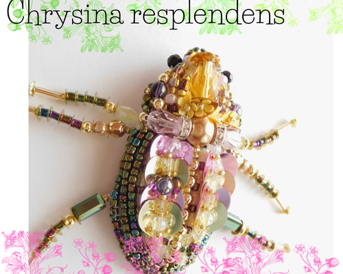 シュトラッセンプラチナコガネ　ホンジュラス産 シュトラッセンプラチナコガネ ホンジュラス産