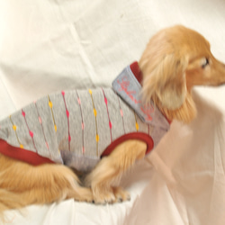 【送料無料】【ラザービー】 ダックス 小型犬用洋服  綿 ノースリーブ 犬服 ダックス プードル チワワ 12枚目の画像
