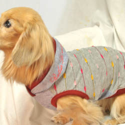 【送料無料】【ラザービー】 ダックス 小型犬用洋服  綿 ノースリーブ 犬服 ダックス プードル チワワ 9枚目の画像