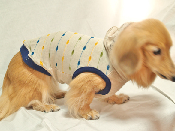 【送料無料】【ラザービー】 ダックス 小型犬用洋服  綿 ノースリーブ 犬服 ダックス プードル チワワ 7枚目の画像