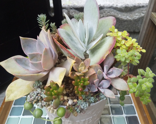 0c54da9ff18135f1f6d307f9ff9cdd