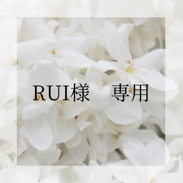 RUI様 オーダーページ ピアス（スタッド・一粒） lille flower〜花と 