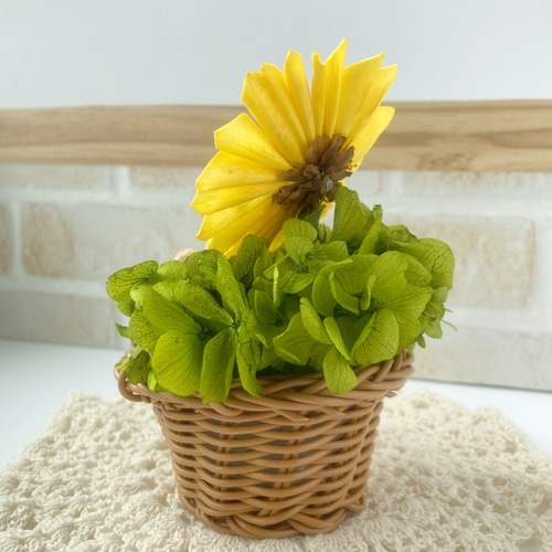 富士さんさまご購入品 リメイク鉢3号 ひまわりとうさぎさん 富士さん