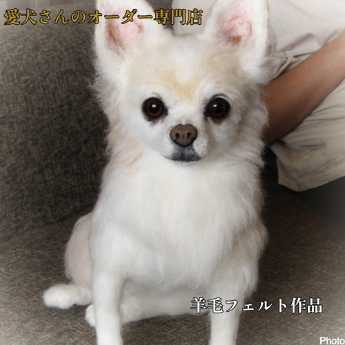 愛犬さんのオーダー》羊毛フェルトオーダー 羊毛フェルト犬 オーダー