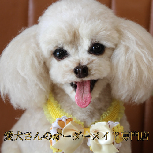 愛犬さんのオーダー》羊毛フェルトオーダー 羊毛フェルト犬 愛犬さんのオーダー》羊毛フェルトオーダー 羊毛フェルト犬