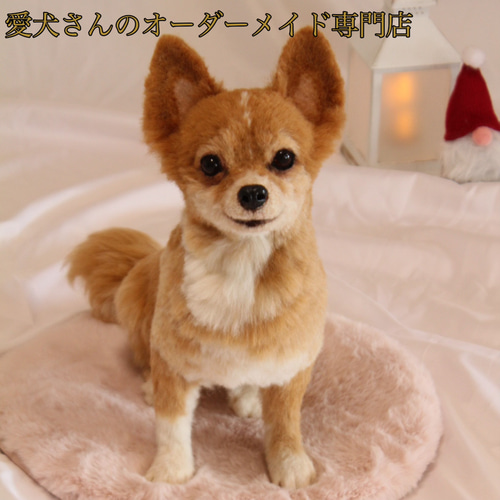 愛犬さんのオーダー》羊毛フェルトオーダー 羊毛フェルト犬 愛犬さんのオーダー》羊毛フェルトオーダー 羊毛フェルト犬