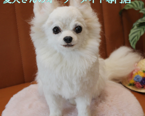 愛犬の羊毛フェルトオーダー・孤濁久様専用ページ 羊毛フェルト