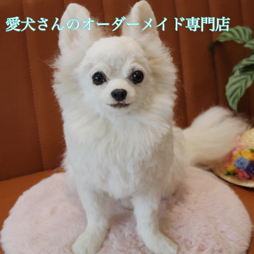 愛犬さんの羊毛フェルトオーダー・わんちゃん・ぬいぐるみ